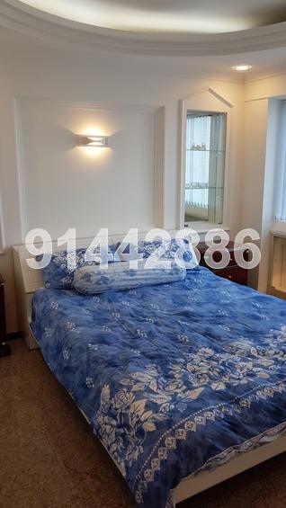 Lucky Plaza (D9), Apartment #146515402